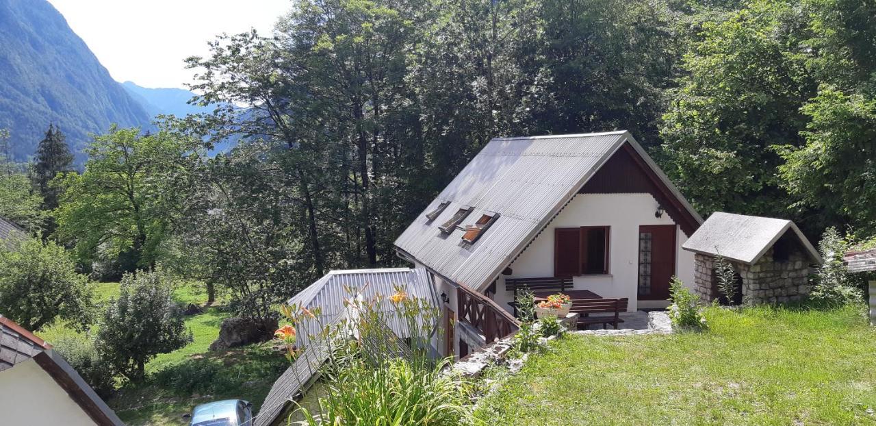 Apartment Zorc Trenta Dış mekan fotoğraf